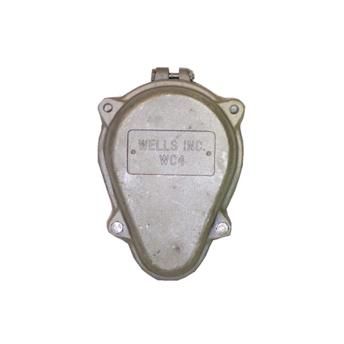 4 Inch Riser Well Cap 4